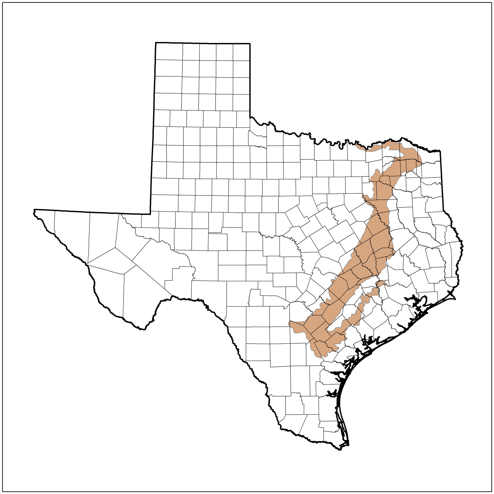 1600x1600 Texas Nature Trackers Target Species