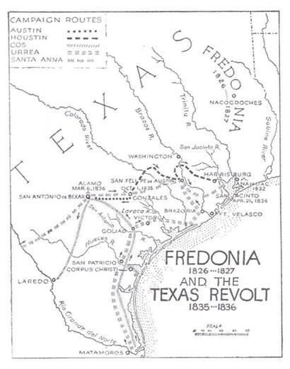 410x522 The Mysterious Yellow Rose Of Texas.