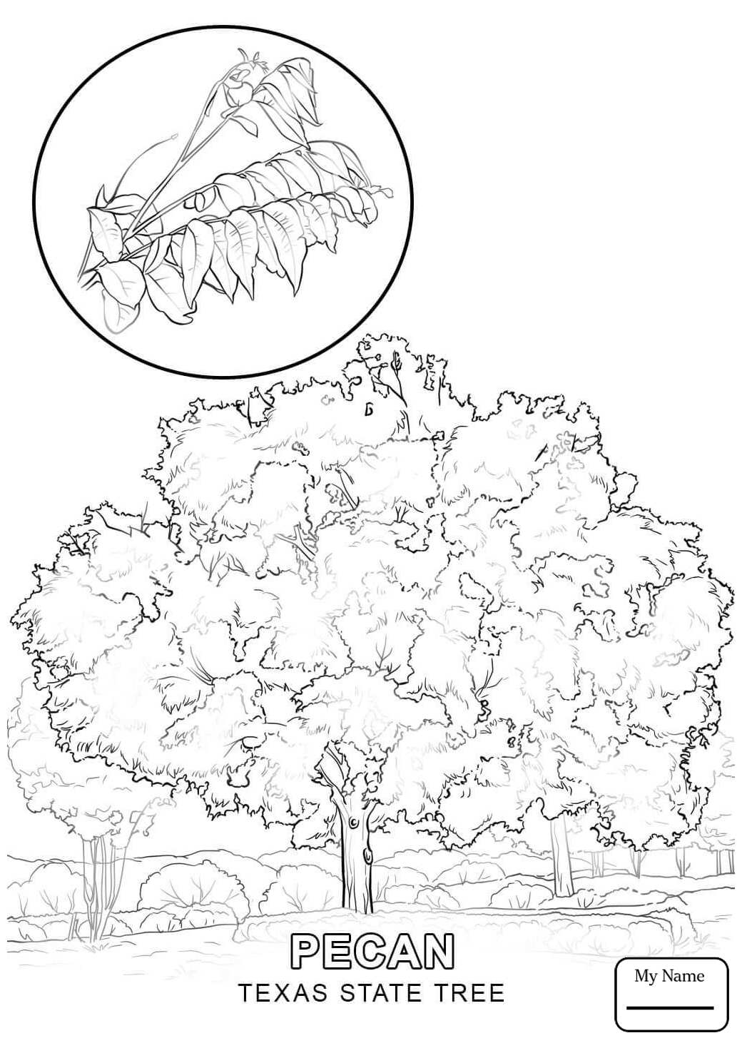 1040x1469 Texas Texas State Map Countries Cultures Coloring Pages For Kids