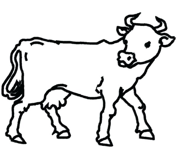 600x505 Outline Of Cow Vector Of A Cartoon Dancing Cow Coloring Page