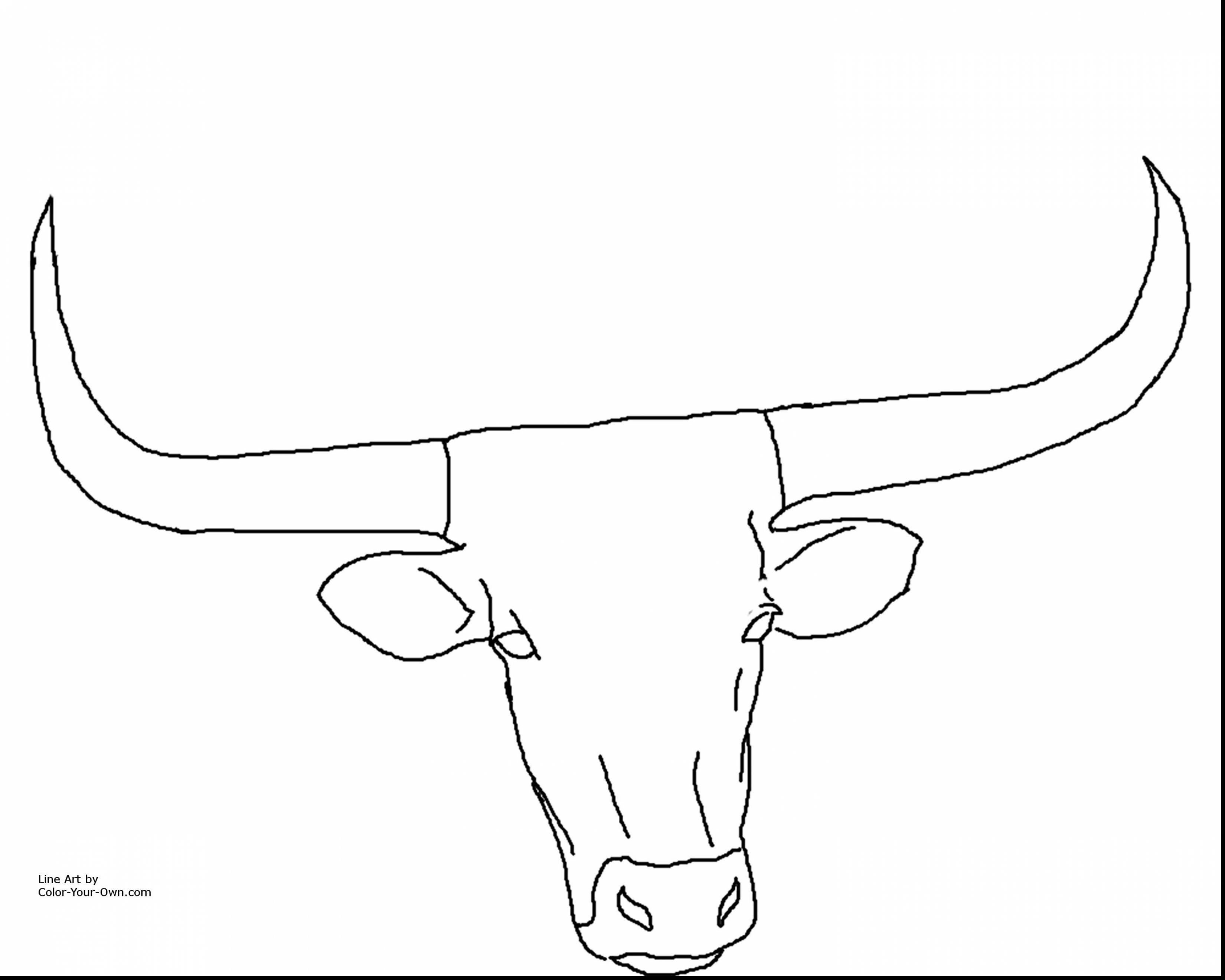 3300x2640 Texas Tech Coloring Pages Free Draw To Color