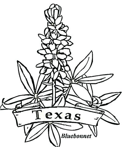 406x480 Texas State Flag Coloring Page Click To See Printable Version