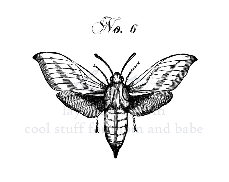 736x585 27 Best Media Text To Image Images On Fotografie