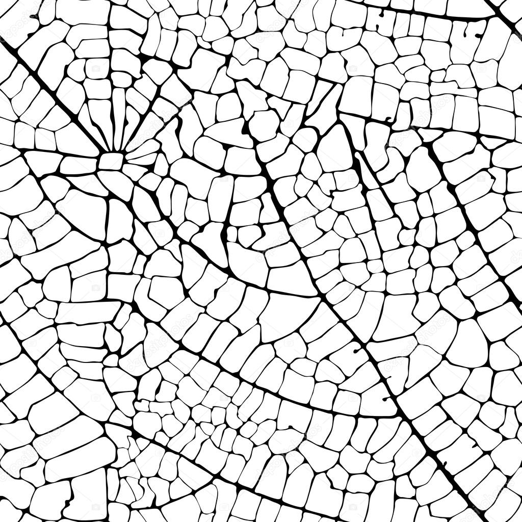 1024x1024 Vector Leaf Veins Seamless Texture Stock Vector Gitan1001