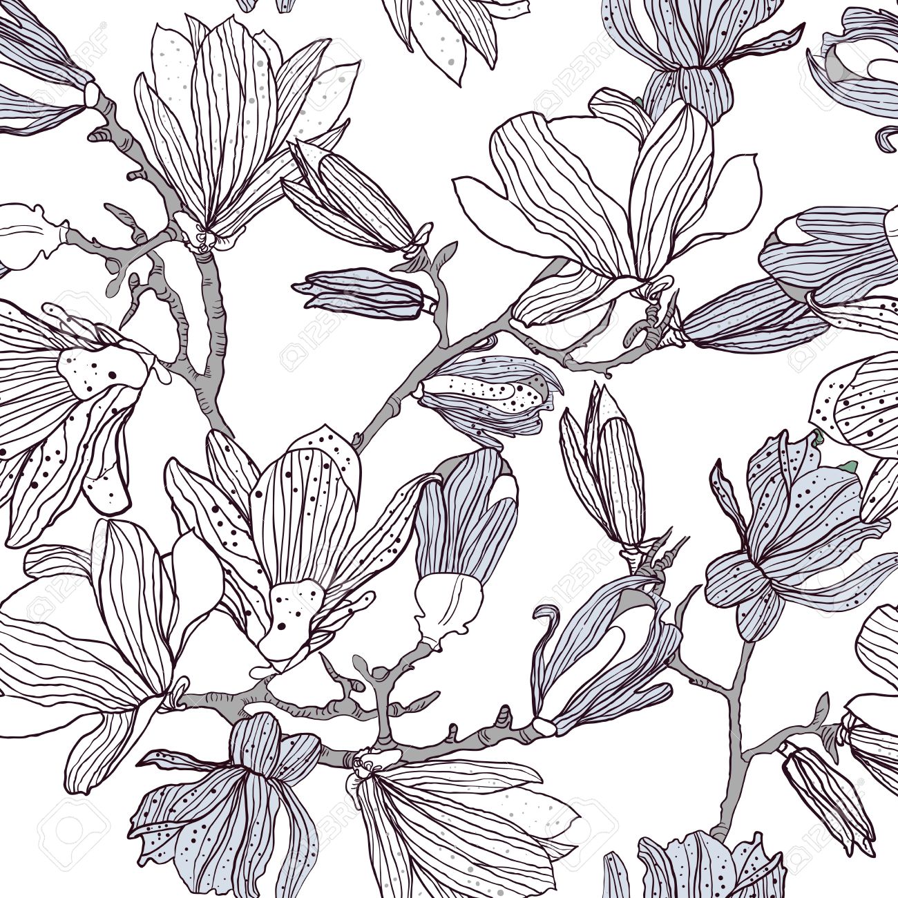 1300x1300 Seamless Vector Texture With Drawing Magnolia Flowers Royalty Free