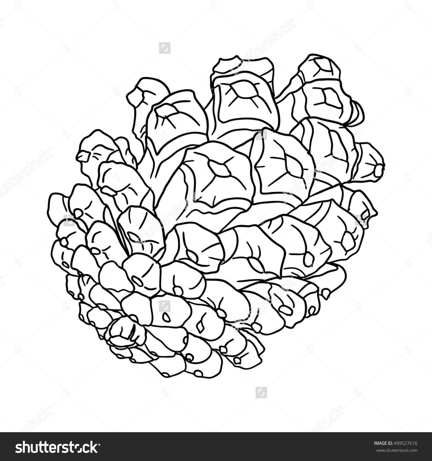 1500x1600 Drawn Pine Cone Line Texture