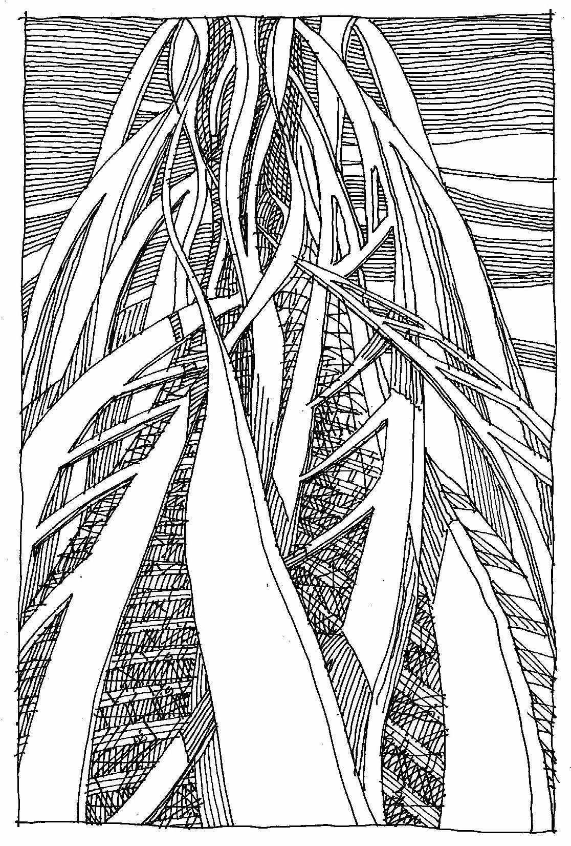 1116x1651 Hatching Has Been Used To Create Positive And Negative Space Over