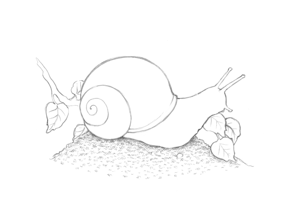 600x447 How To Draw Different Kinds Of Texture With Ink And Nib