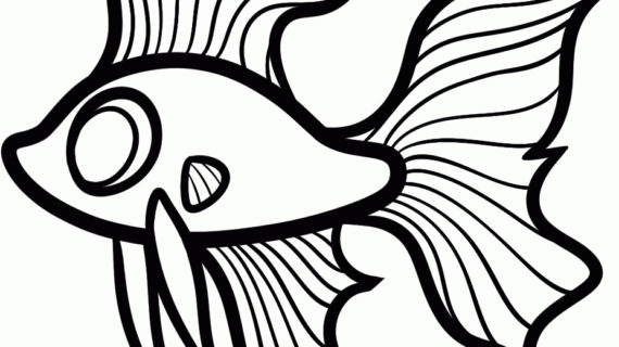 570x320 Simple Drawing Of Fish Magnificent Fish Drawings For Kids