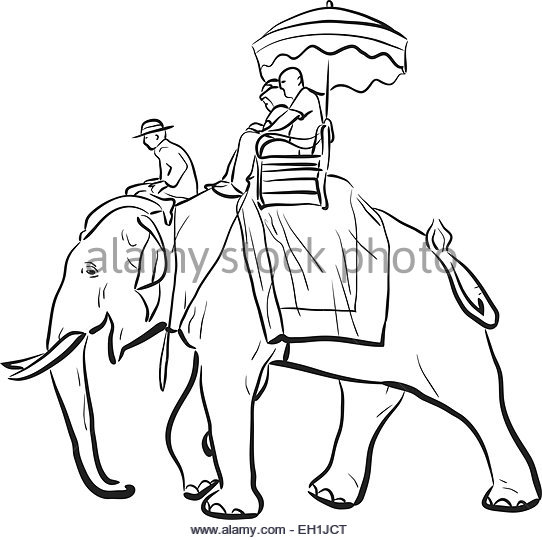 542x540 Thailand Elephant Ride Black And White Stock Photos Amp Images