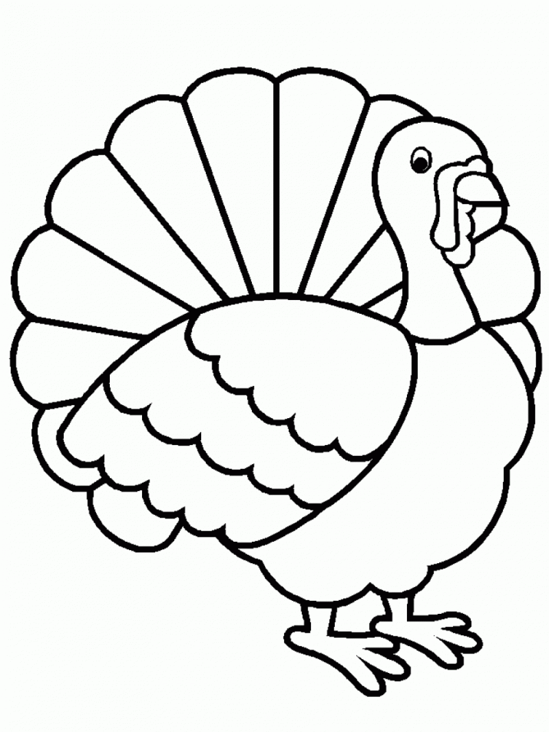 800x1066 Image Result For Printable Thanksgiving Crafts Crafts