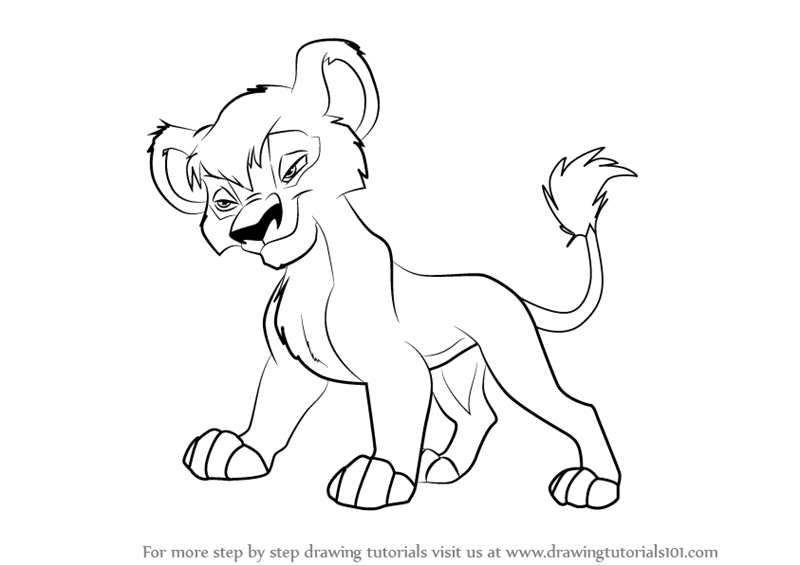 800x565 Learn How To Draw Vitani From The Lion King 2