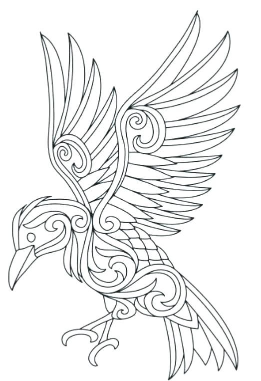 523x763 Ravens Coloring Pages Ravens Coloring Pages Ravens Coloring Pages