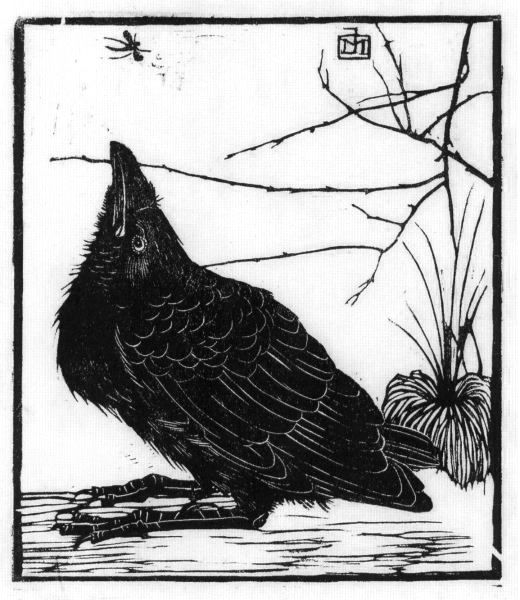 520x600 The Raven Art Ideas Ravens