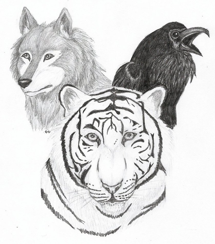 839x952 The Wolf, The Tiger, And The Raven By Winterwolf10