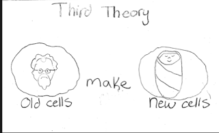 320x194 Cell And Organelles On Emaze