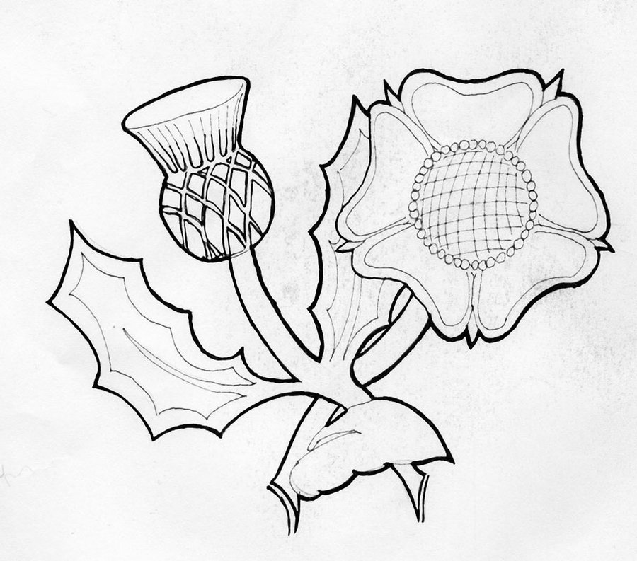 900x793 Thistle And Rose By Almagill