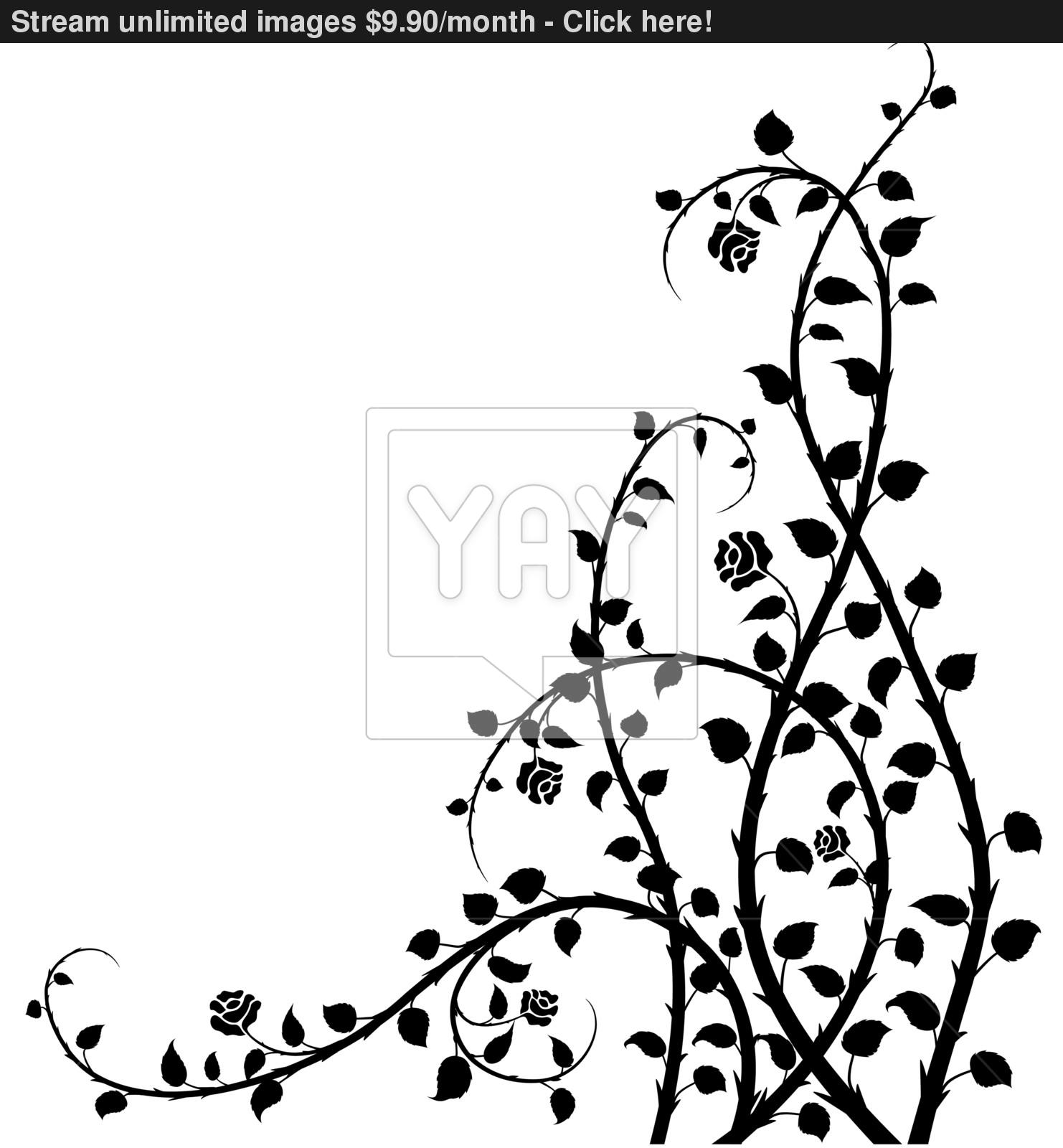 1482x1600 Rose Bush Vector