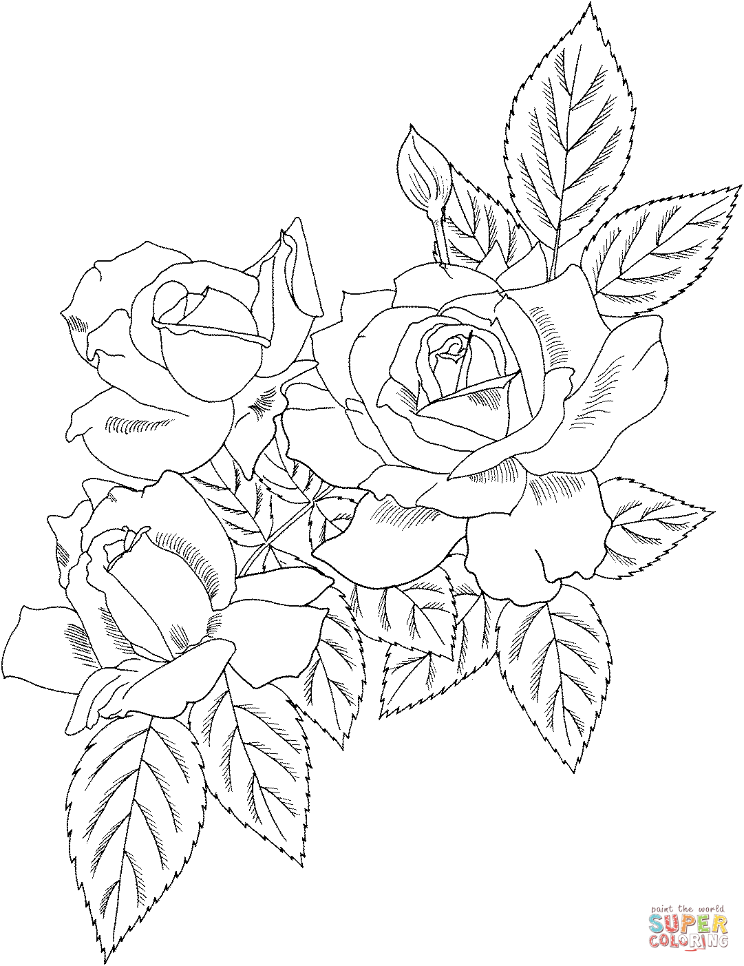 1081x1403 Amazing Rose Coloring Page Top Kids Coloring D