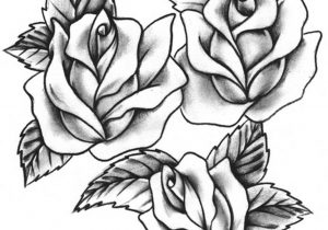 300x210 Roses And Thorns Tattoo Images About Tattoo