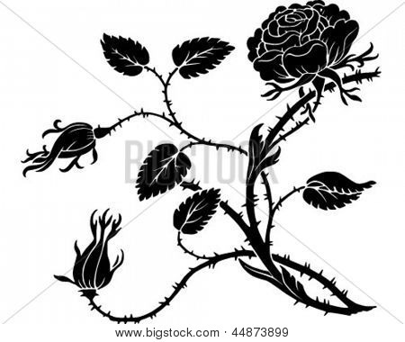 450x380 Rose Plant With Thorns Drawing