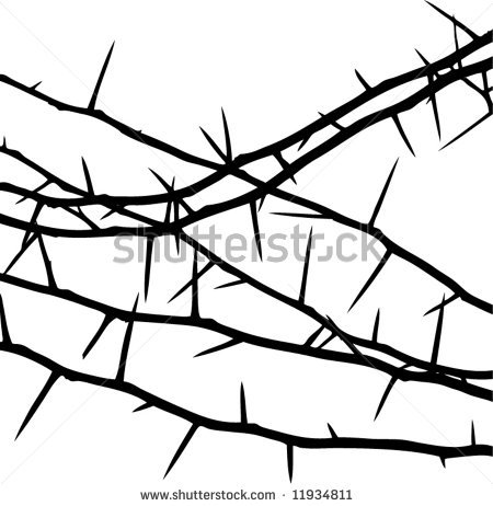 450x462 Thorns Clipart