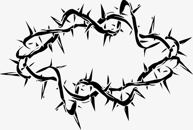 650x439 Black Thorns Vector, Thorns, Vitex, Thorn Png And Vector For Free