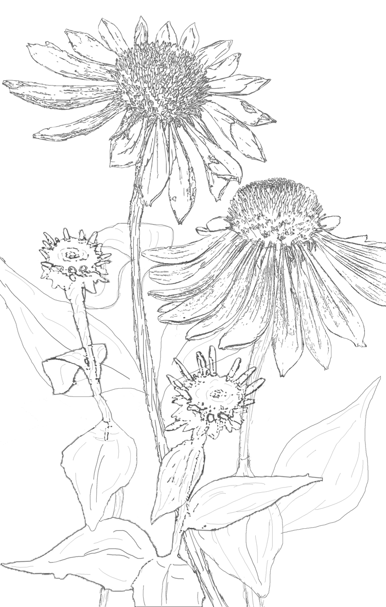 750x1179 My Plan Is To Print This On White Fabric And Then Add Thread