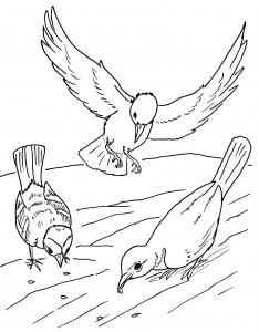 234x300 Animal Coloring Pages For Kids To Print Amp Color