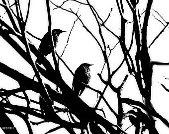 340x270 Three Birds Etsy