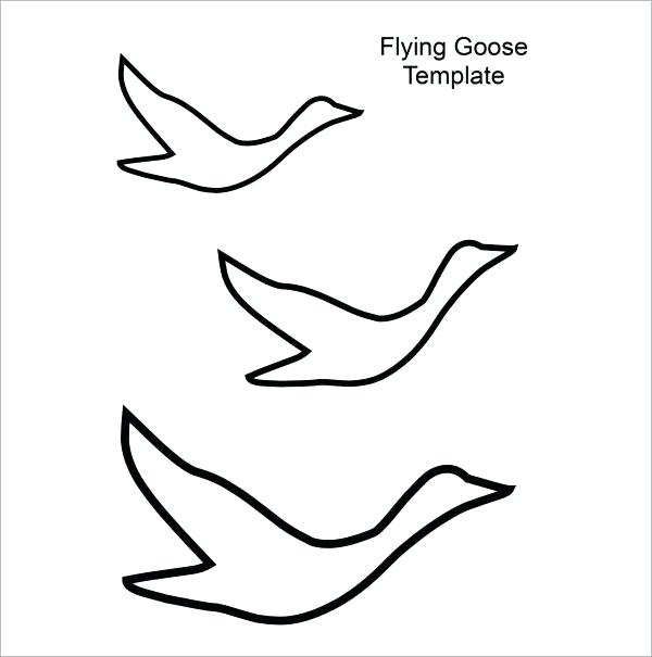 600x605 Coloring Pictures Of Birds Flying Pictures Three Birds Flying