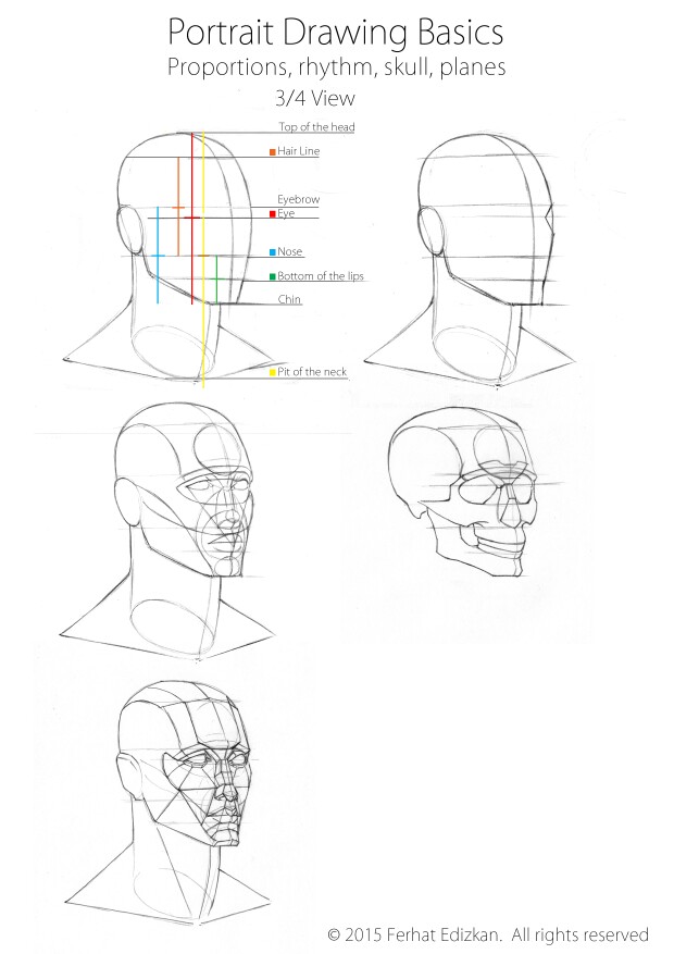 620x877 Portrait Drawing Basics, Three Quarter View Portrait