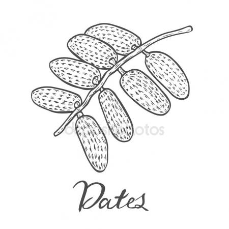 450x450 Good Luck Four Three Leaf Clover. Vintage Vector Color