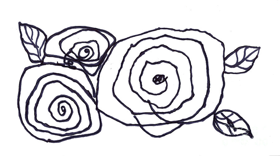 900x500 Roses Drawing By Anna Sofia