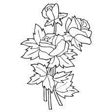 230x230 Top 25 Free Printable Beautiful Rose Coloring Pages For Kids