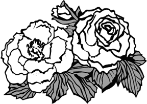 288x203 Drawings Of Roses Made Easy With Your First Sketch