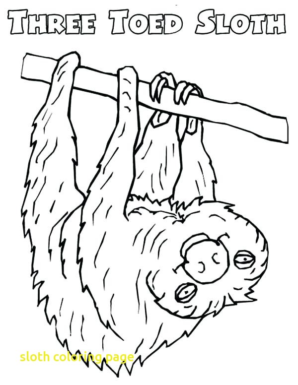 600x776 Sloth Coloring Page With Three Toed Sloth Worksheet