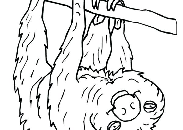 600x425 Sloth Coloring Pages Pin Drawn Sloth Coloring Page Printable Sloth