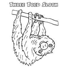 230x230 Sloth Coloring Pages Coloring Page For Kids