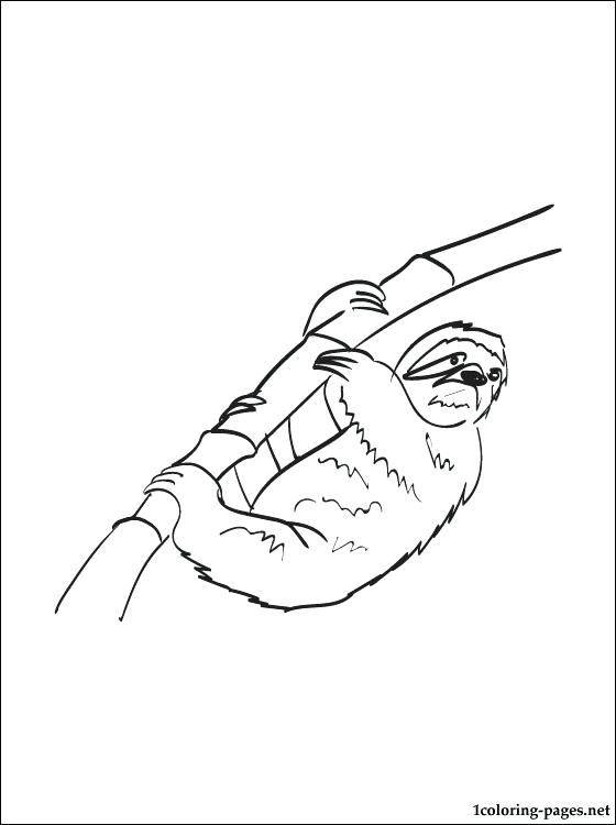 560x750 Sloth Coloring Pages Synthesis.site