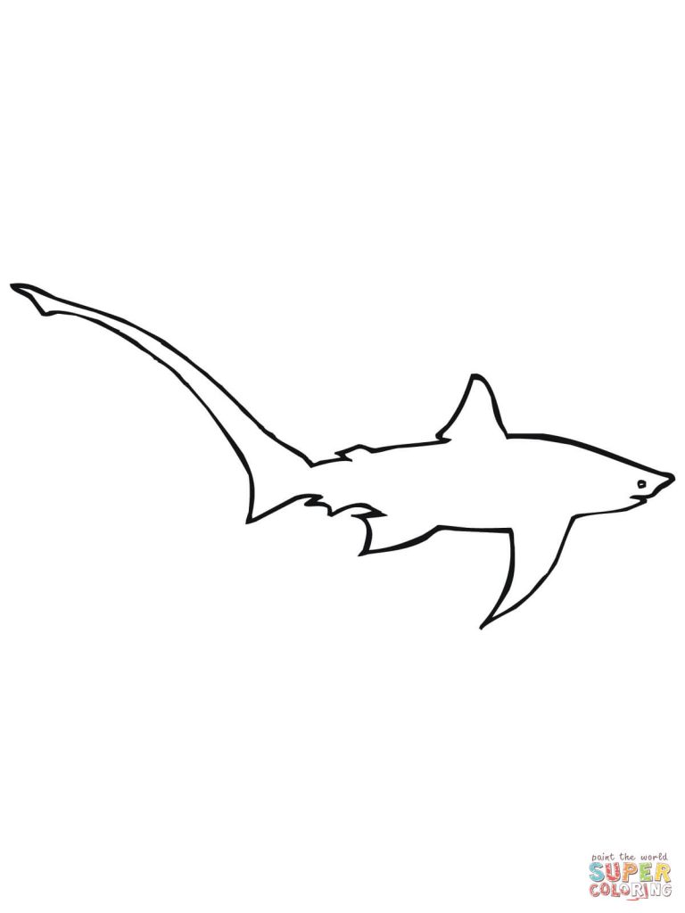 768x1024 Long Tailed Or Common Thresher Shark Design Coloring Page