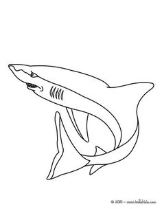 236x304 Sharks With Style Beautiful Sharks Shark