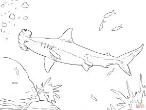 300x225 Thresher Shark Or Fox Shark Design Coloring Page