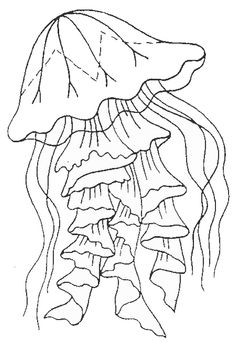 236x342 Thresher Sharks Animal Colouring Pages Thresher