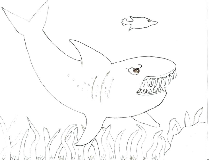 863x662 Whale Shark Coloring Pages Shark Coloring Book Plus Medium Size