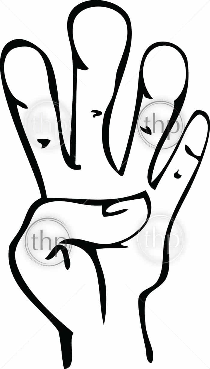700x1227 Cartoon Line Drawing Of Human Hand Showing 4 Photo