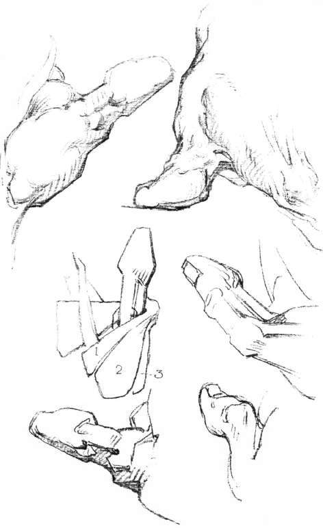472x772 The Hand. Construction, The Thumb, Anatomy, Masses, Movements