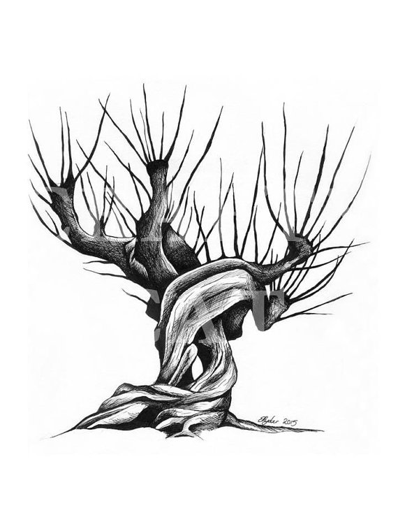 570x760 Harry Potter Whomping Willow Pen And Ink Drawing Digital Print