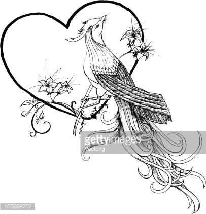 406x422 51 Best Birds Images On Bird Drawings, Draw Animals