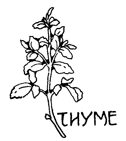 432x484 Thyme Drawing Free Heraldry Clipart Panda